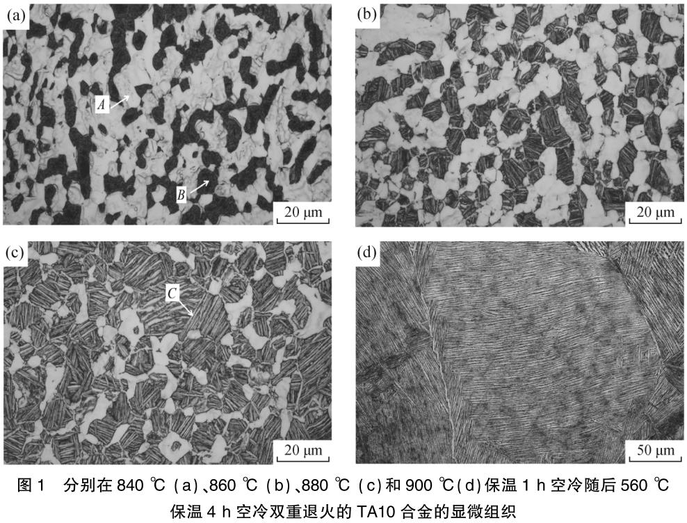 雙重退火對(duì)TA10鈦合金組織與拉伸性能的影響