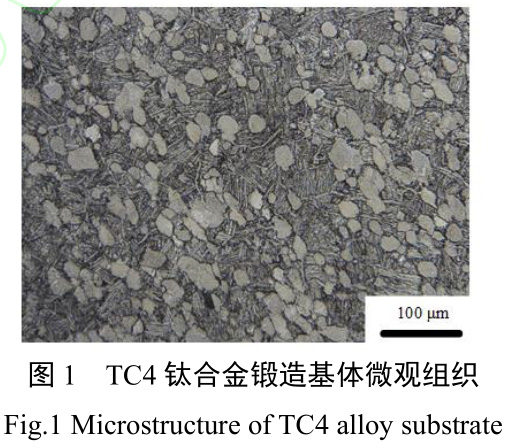 固溶處理對鍛/增復(fù)合成形TC4鈦合金鍛件的顯微組織和力學(xué)性能的影響