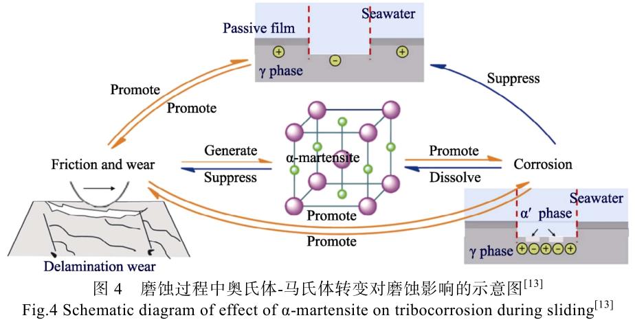 海洋環(huán)境鈦管鈦鍛件等鈦合金的應用現(xiàn)狀及其防護技術研究