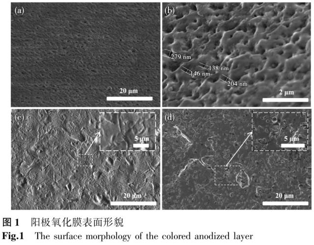 鈦及鈦合金外科植入物陽(yáng)極氧化表面形貌及元素含量分布研究