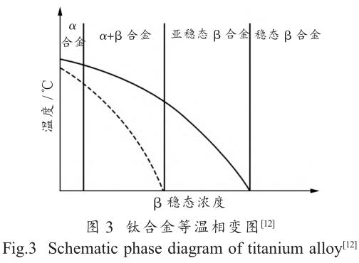 t3.jpg